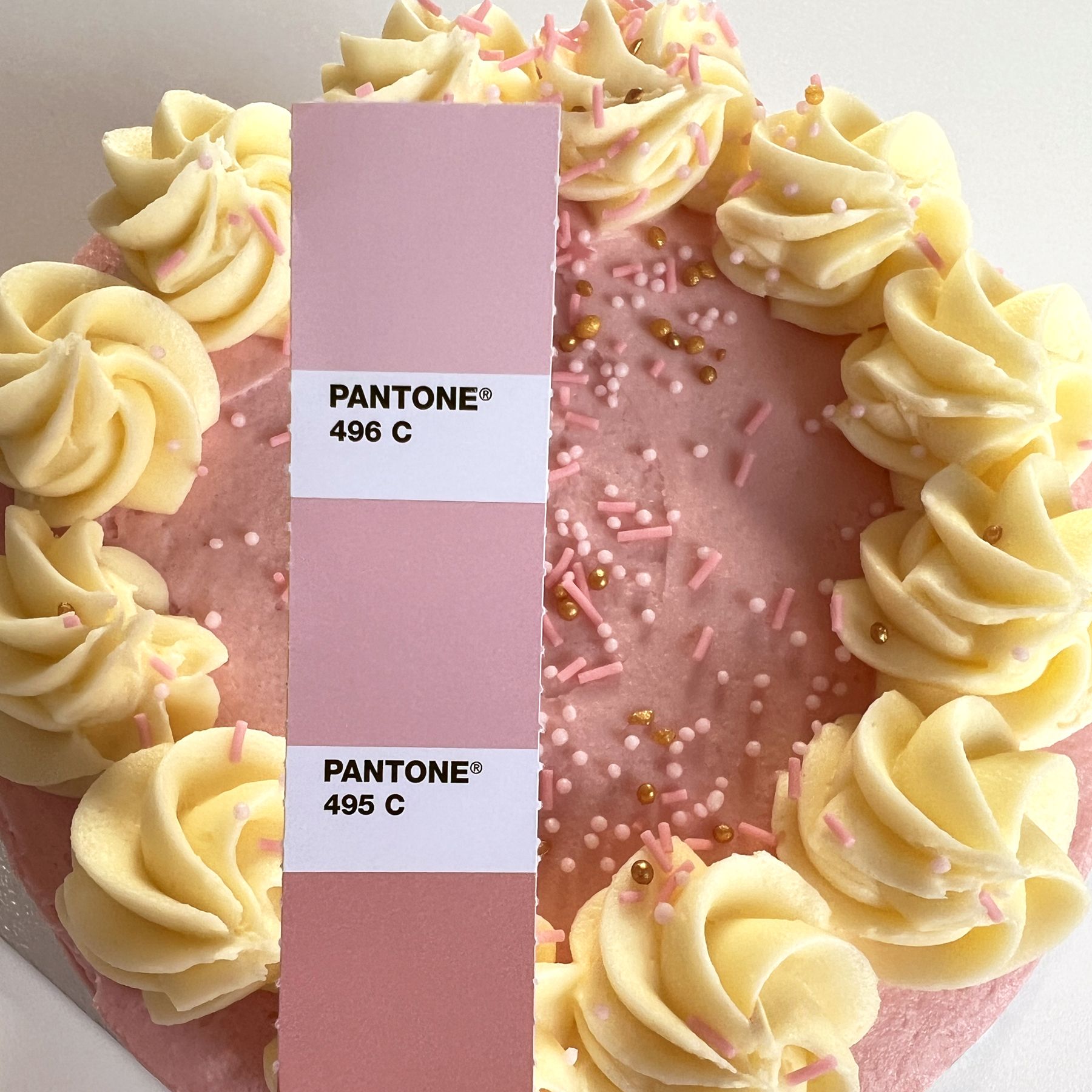 fiona-cairns-pantone-matching-to-icing-sm.jpg